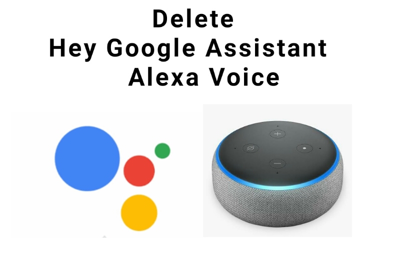 How to remove Hey Google Assistant